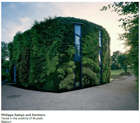 Techos organicos o verdes para fachadas de casas
